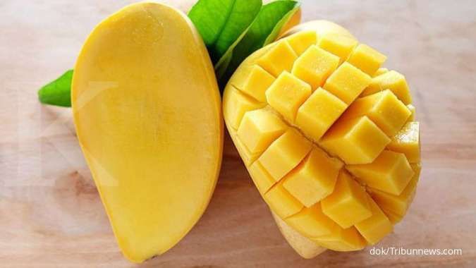 Manfaat Buah Mangga Untuk Ibu Hamil